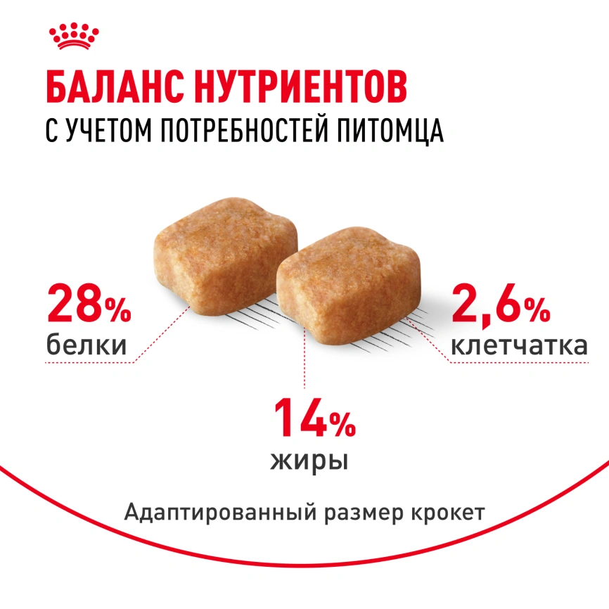 Сухой корм Royal Canin Dachshund Adult для собак породы такса, 1.5 кг фото 4