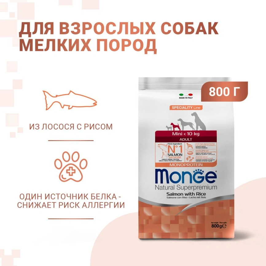 Сухой корм Monge Dog Speciality Line Monoprotein Mini Salmon &amp;amp; Rice для взрослых собак мелких пород с лососем и рисом, 800 г фото 2