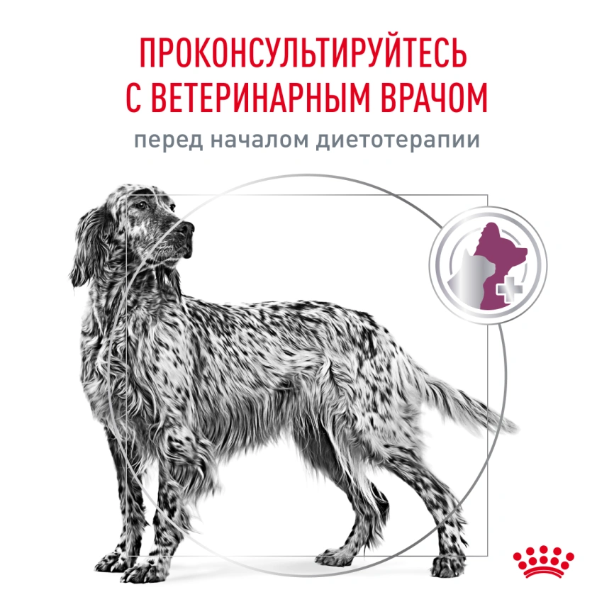 Сухой корм Royal Canin Renal для кошек при заболеваниях почек, 2 кг фото 7