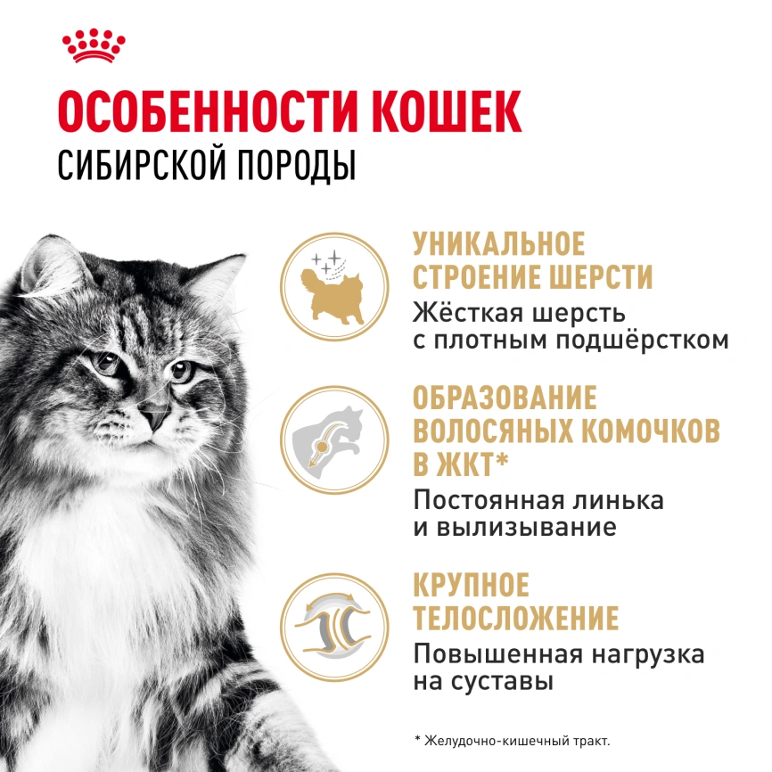Сухой корм Royal Canin Siberian для кошек, 400 г фото 2