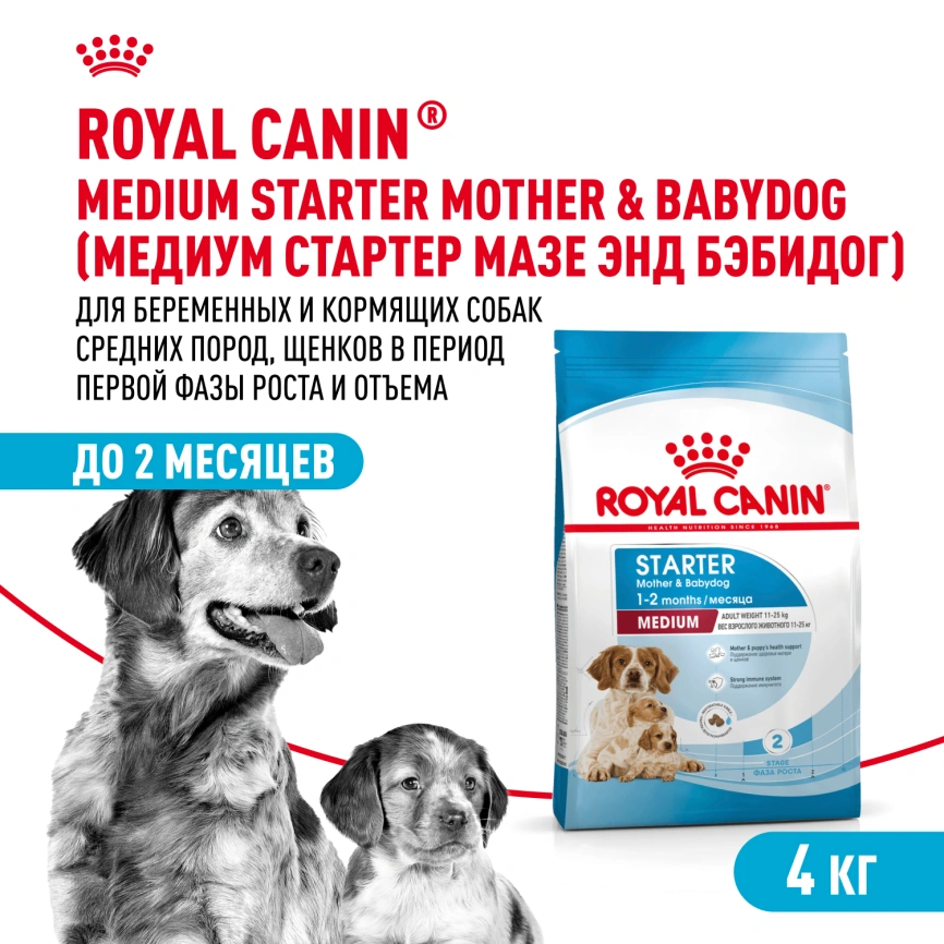 Сухой корм Royal Canin Medium Starter Mother &amp; Babydog для щенков и кормящих сук, 4 кг фото 1