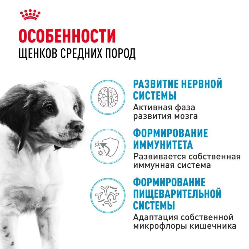 Сухой корм Royal Canin Medium Puppy для щенков, 3 кг фото 2