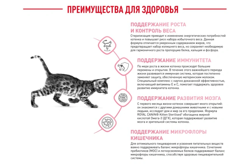 Сухой корм Royal Canin Kitten Sterilised для котят, 400 г фото 15