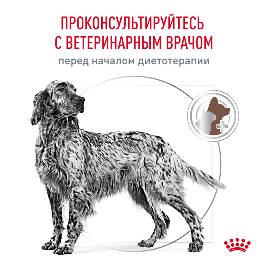 Сухой корм Royal Canin Gastrointestinal для собак, 2 кг фото 7