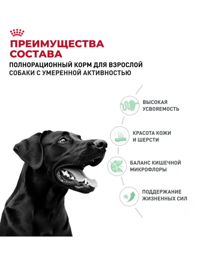 Сухой корм Royal Canin Club Adult CC для взрослых собак, 20 кг фото 2