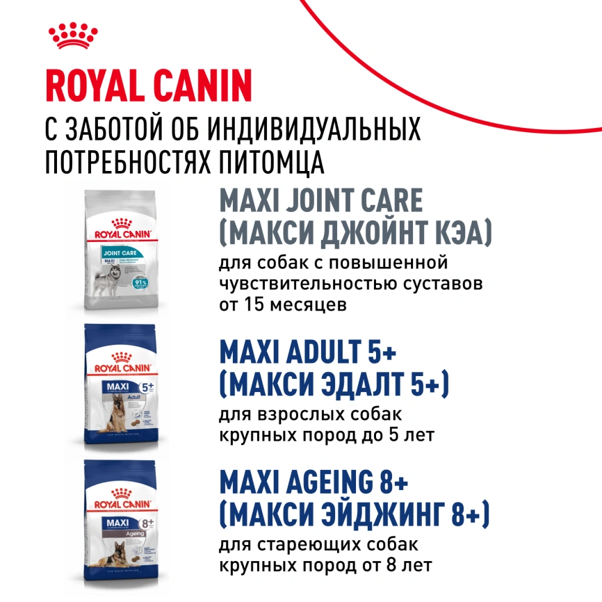 Сухой корм Royal Canin Maxi Adult для собак, 15 кг фото 9