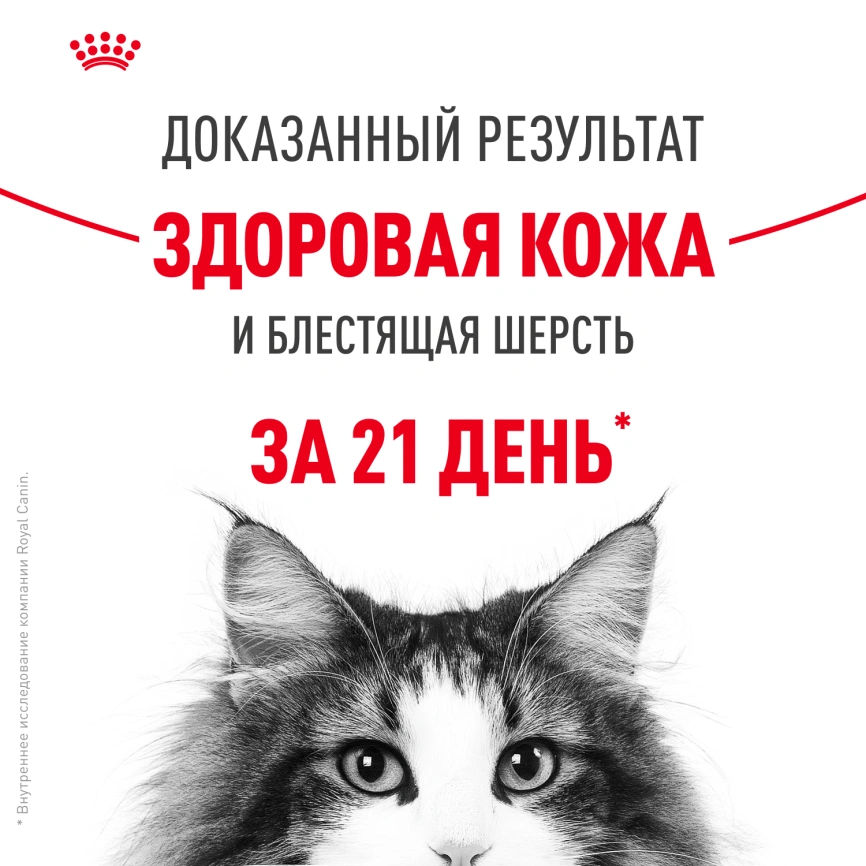 Влажный корм Royal Canin Hair &amp; Skin Care в желе для взрослых кошек старше 1 года, пауч, 85 г фото 4