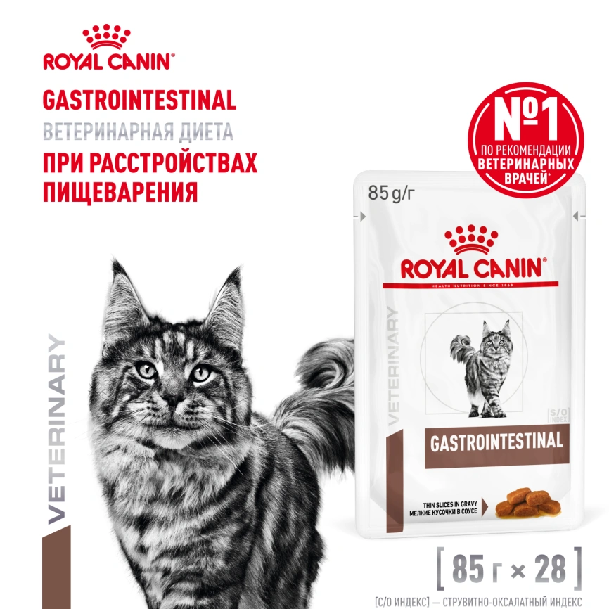 Влажный диетический корм Royal Canin Gastrointestinal для кошек при расстройствах пищеварения, пауч, 85 г фото 11