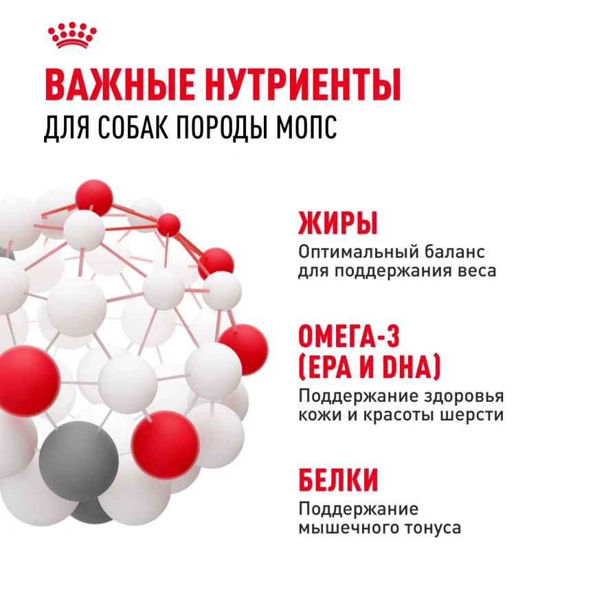 Сухой корм Royal Canin Pug Adult для взрослых собак, 500 г фото 5