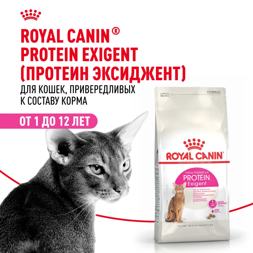 Сухой корм Royal Canin Protein Exigent для кошек, 400 г фото 12