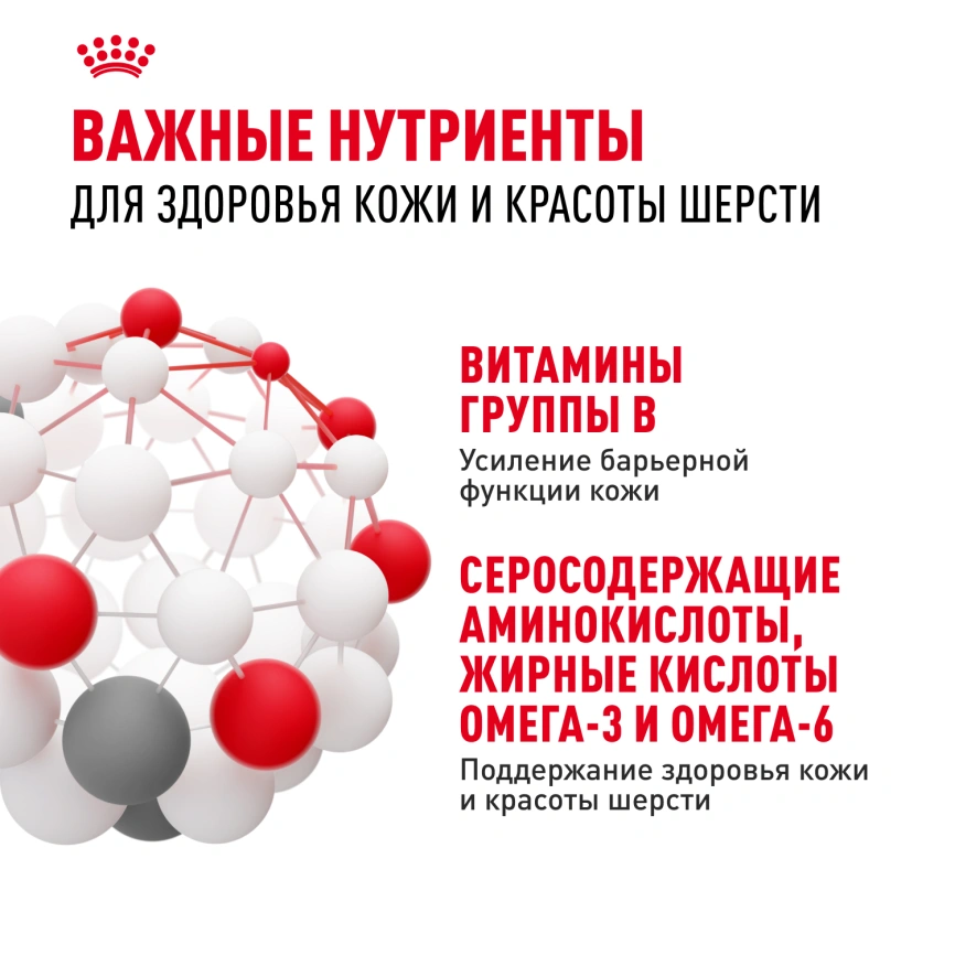 Сухой корм Royal Canin Hair &amp;amp; Skin Care для кошек, 400 г фото 4
