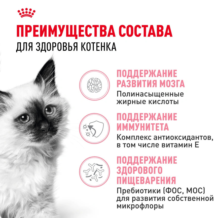 Сухой корм Royal Canin Kitten для котят, 300 г фото 3