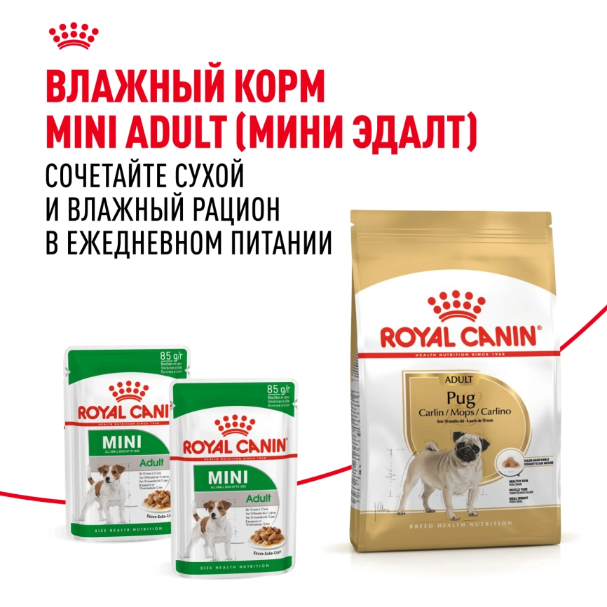 Сухой корм Royal Canin Pug Adult для взрослых собак, 500 г фото 8