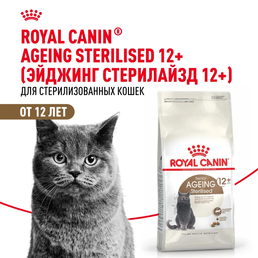Сухой корм Royal Canin Ageing Sterilised 12+ для стерилизованных кошек старше 12 лет, 400 г фото 12