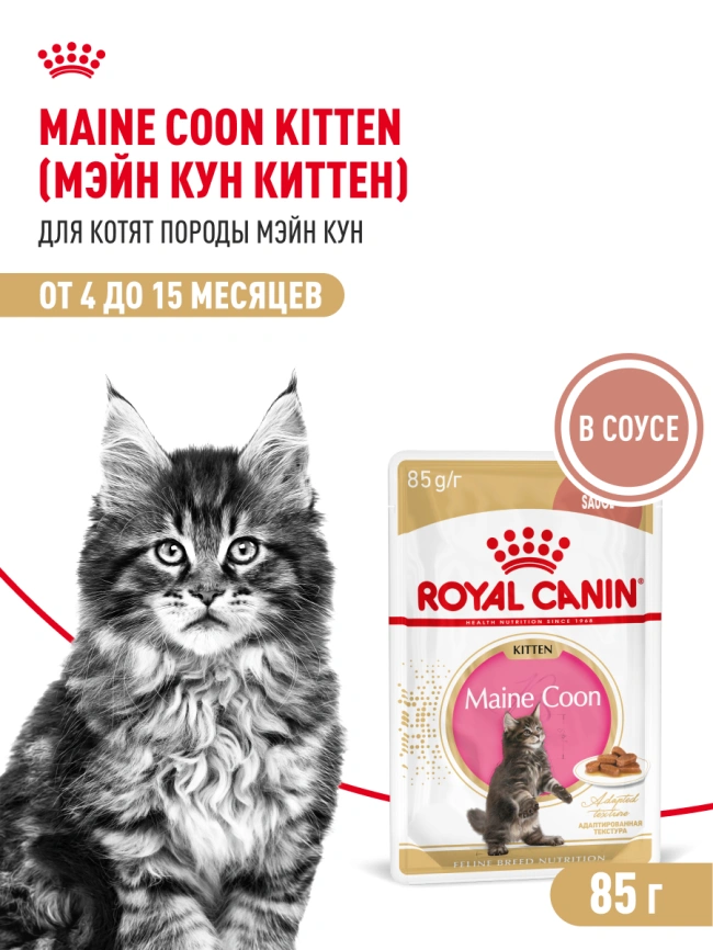 Влажный корм Royal Canin Maine Coon Kitten в соусе для котят породы мейн-кун и других крупных пород старше 3 месяцев, пауч, 85 г фото 18