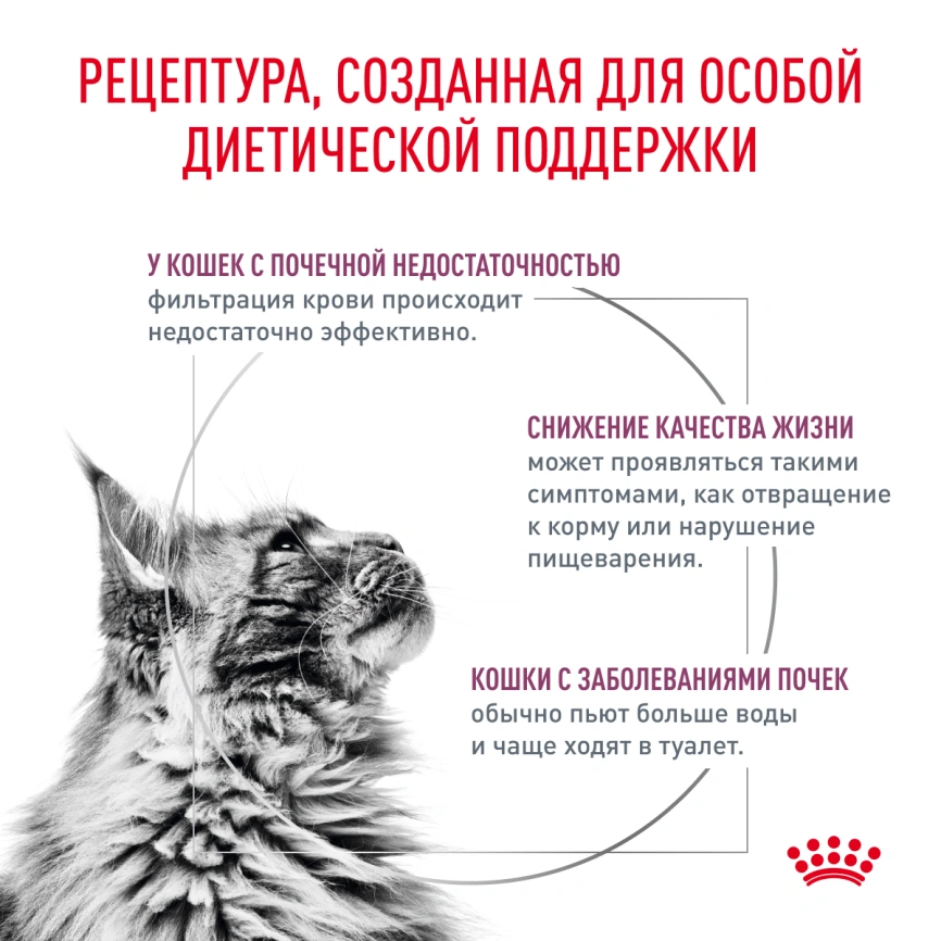 Сухой корм Royal Canin Renal для кошек при заболеваниях почек, 2 кг фото 2