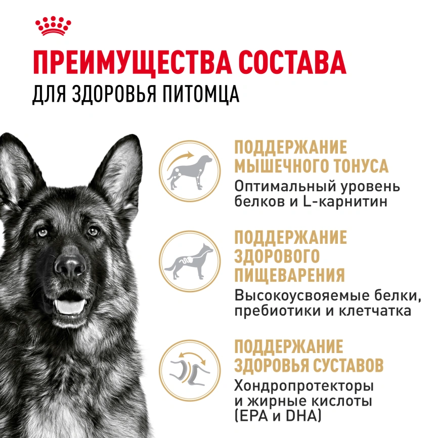 Сухой корм Royal Canin German Shepherd Adult для собак, 11 кг фото 3