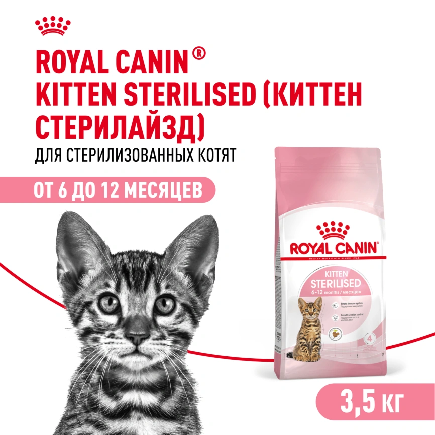 Сухой корм Royal Canin Kitten Sterilised для котят, 3.5 кг фото 1