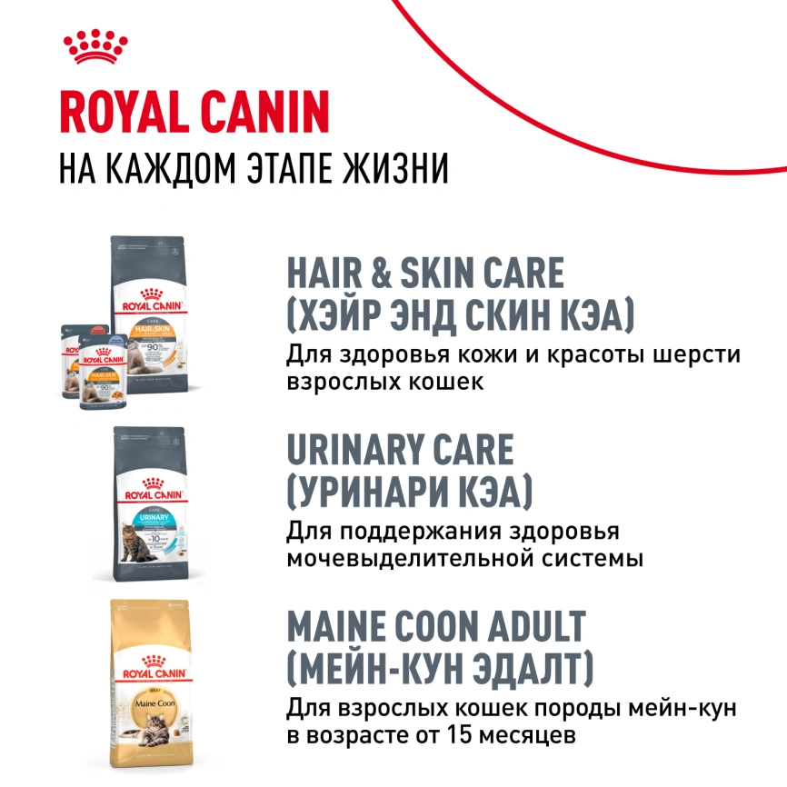 Сухой корм Royal Canin Kitten Maine Coon для котят, 4 кг фото 10
