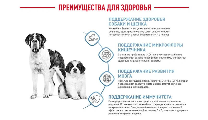 Сухой корм Royal Canin Giant Starter Mother &amp; Babydog для щенков и собак, 4 кг фото 14