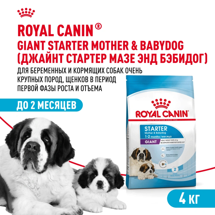 Сухой корм Royal Canin Giant Starter Mother &amp; Babydog для щенков и собак, 4 кг фото 1