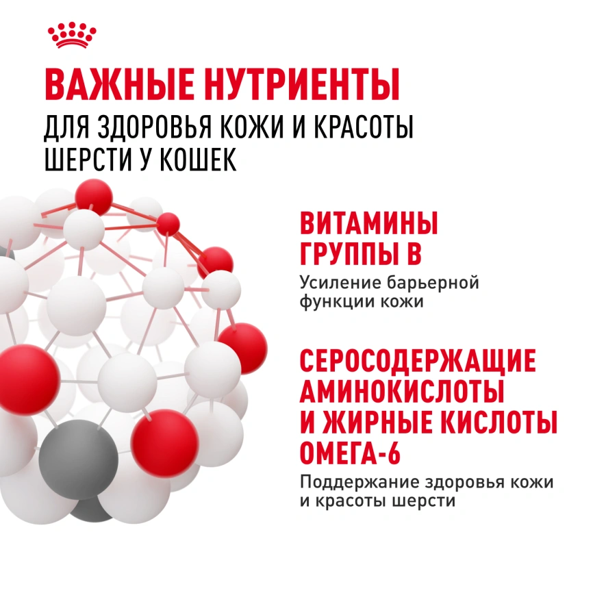Влажный корм Royal Canin Hair &amp; Skin Care в соусе для взрослых кошек старше 1 года, пауч, 85 г фото 6