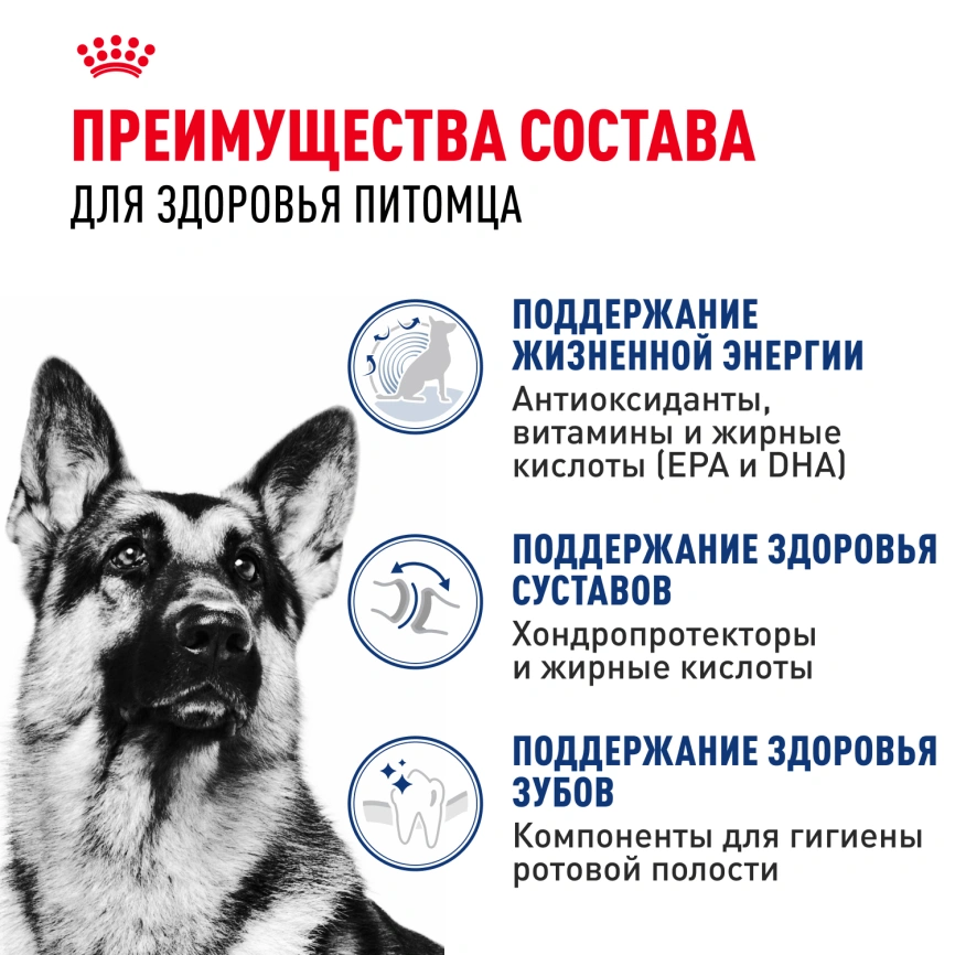 Сухой корм Royal Canin Maxi Adult 5+ для собак, 4 кг фото 3