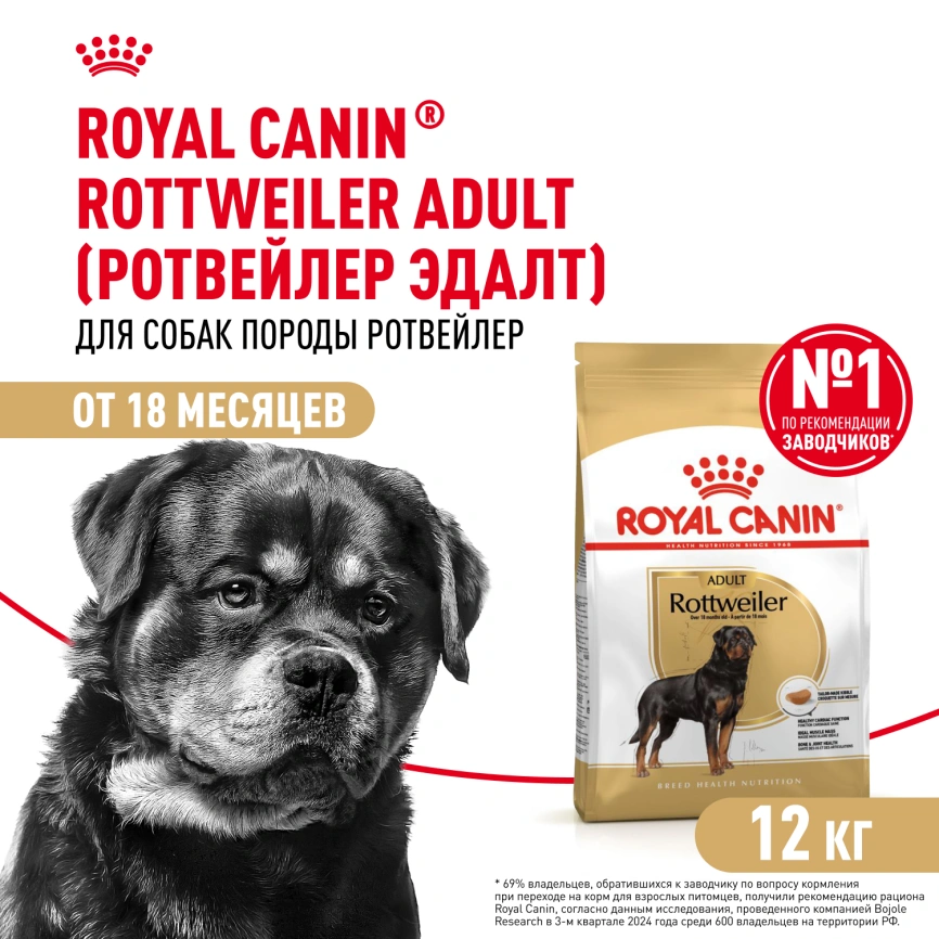 Сухой корм Royal Canin Rottweiler Adult для взрослых собак, 12 кг фото 1