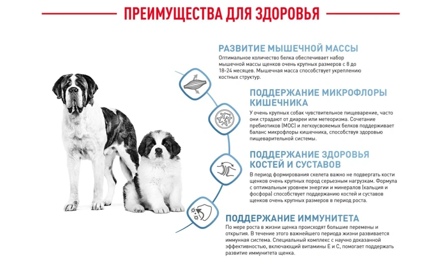 Сухой корм Royal Canin Giant Junior для щенков, 3.5 кг фото 16
