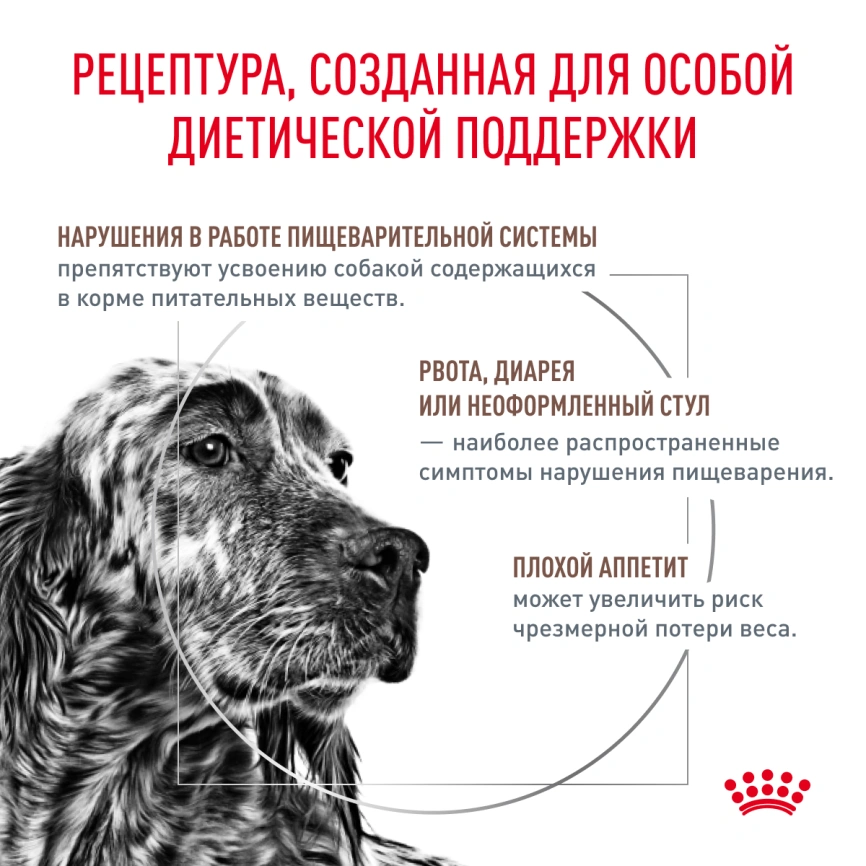 Сухой корм Royal Canin Gastrointestinal для собак, 2 кг фото 3
