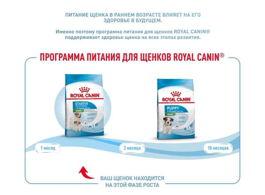 Сухой корм Royal Canin Mini Starter Mother & Babydog для щенков и кормящих сук, 1 кг фото 9