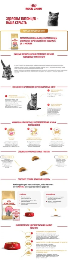 Сухой корм Royal Canin Kitten British Shorthair для котят, 10 кг фото 11