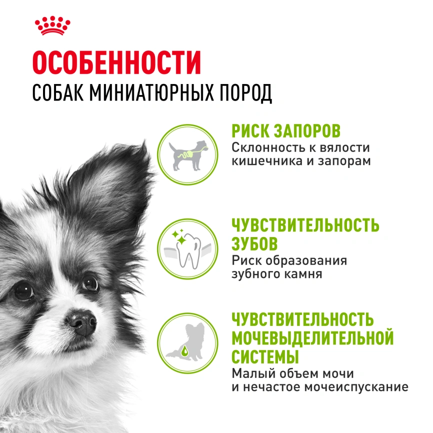 Сухой корм Royal Canin X-Small Adult для собак, 1.5 кг фото 2