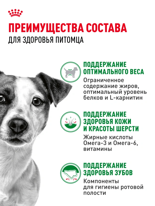 Сухой корм Royal Canin Mini Adult для взрослых собак, 800 фото 17