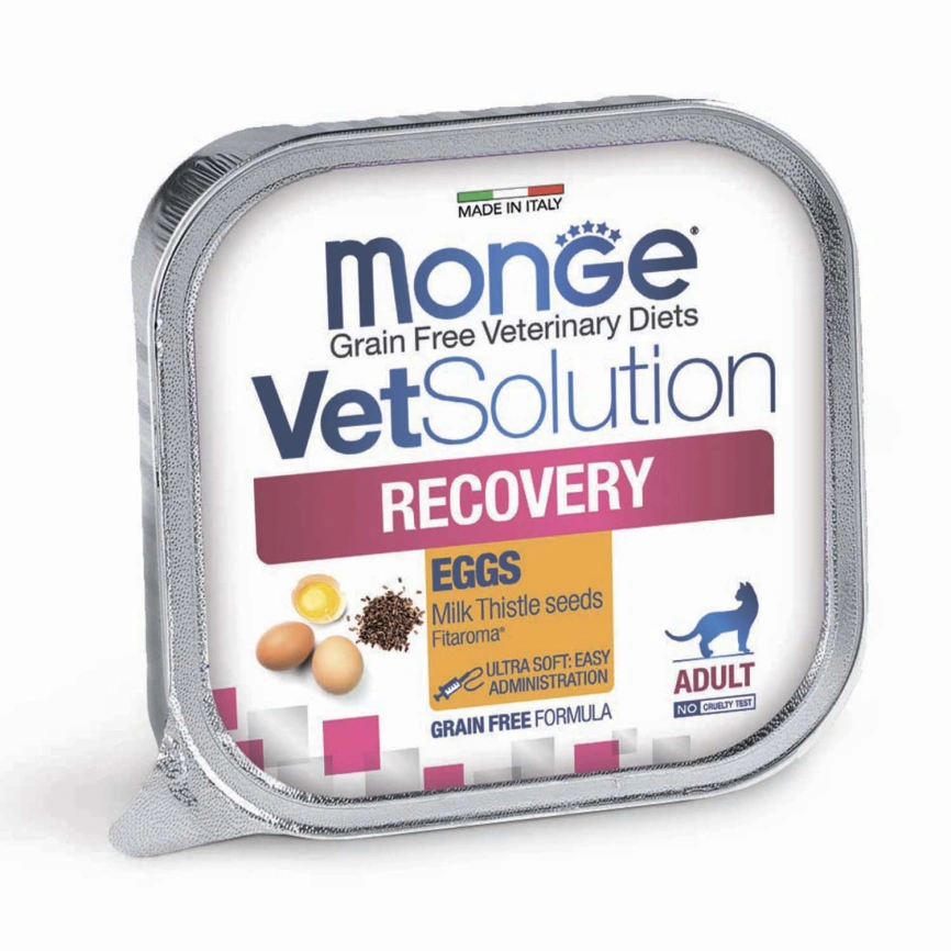 Диетический корм Monge VetSolution Cat Recovery для кошек, для восстановления питания в период выздоровления, 100 г фото 1