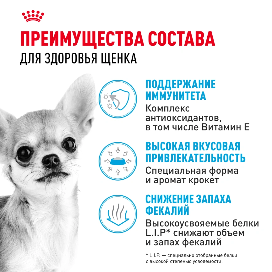 Сухой корм Royal Canin Chihuahua Puppy для щенков породы чихуахуа, 500 г фото 2