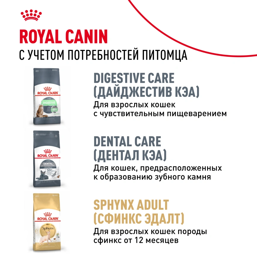Сухой корм Royal Canin Kitten Sphynx для котят, 2 кг фото 10