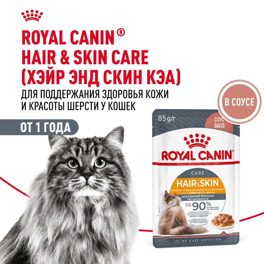 Влажный корм Royal Canin Hair &amp; Skin Care в соусе для взрослых кошек старше 1 года, пауч, 85 г фото 18
