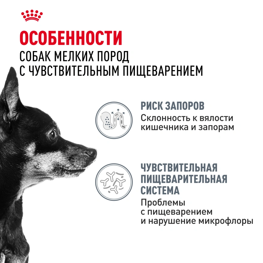 Сухой корм Royal Canin Mini Digestive Care для собак, 1 кг фото 2