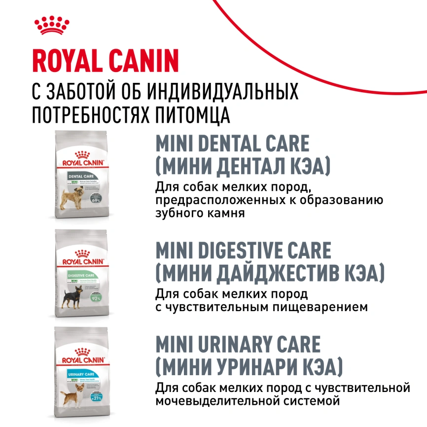 Сухой корм Royal Canin Mini Dermacomfort для собак, 3 кг фото 10