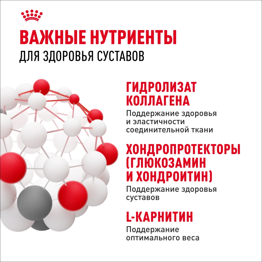 Сухой корм Royal Canin Maxi Joint Care для собак, 10 кг фото 5