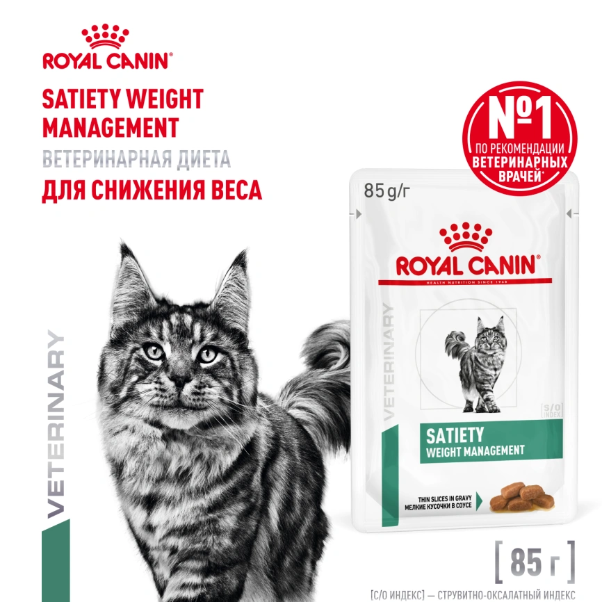 Влажный корм Royal Canin Satiety Weight Management в соусе для кошек при избыточном весе, пауч, 85 г фото 1