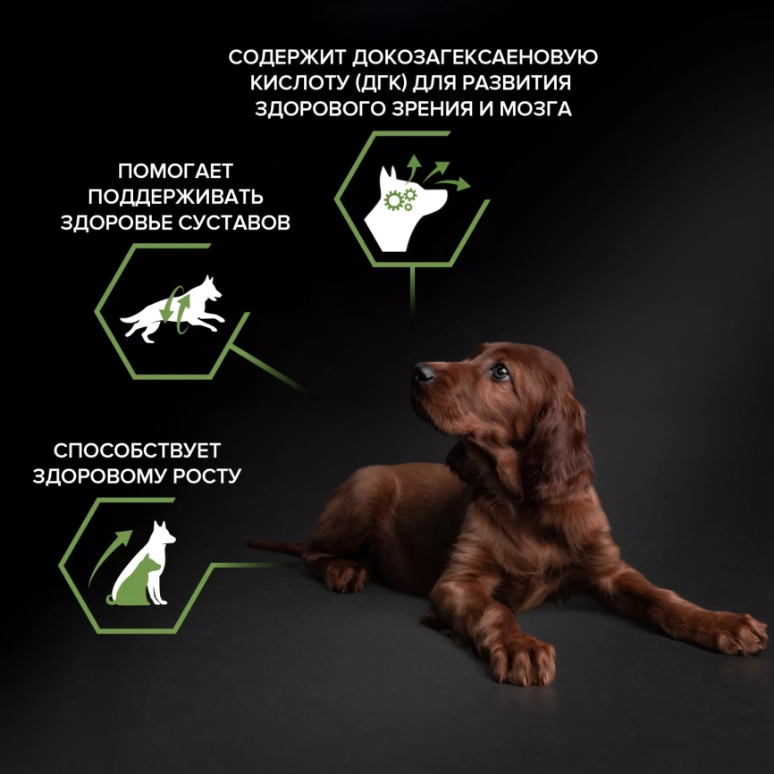 Сухой корм PRO PLAN Chicken для щенков крупных пород с атлетическим телосложением, с высоким содержанием курицы, 12 кг фото 2