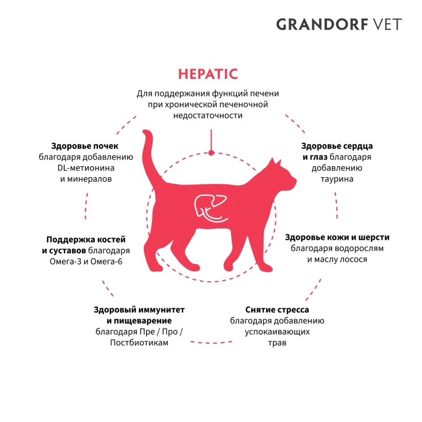 Сухой корм Grandorf Veterinary Hepatiс для кошек при заболеваниях печени, 400 г фото 2