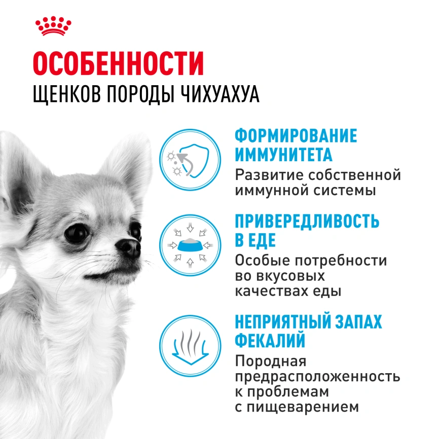 Сухой корм Royal Canin Chihuahua Puppy для щенков породы чихуахуа, 1,5 кг фото 2