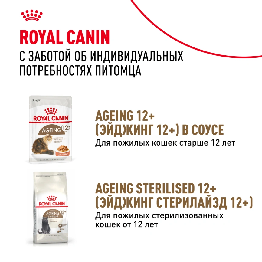 Влажный корм Royal Canin Ageing 12+ в желе для стареющих кошек старше 12 лет, пауч, 85 г фото 10