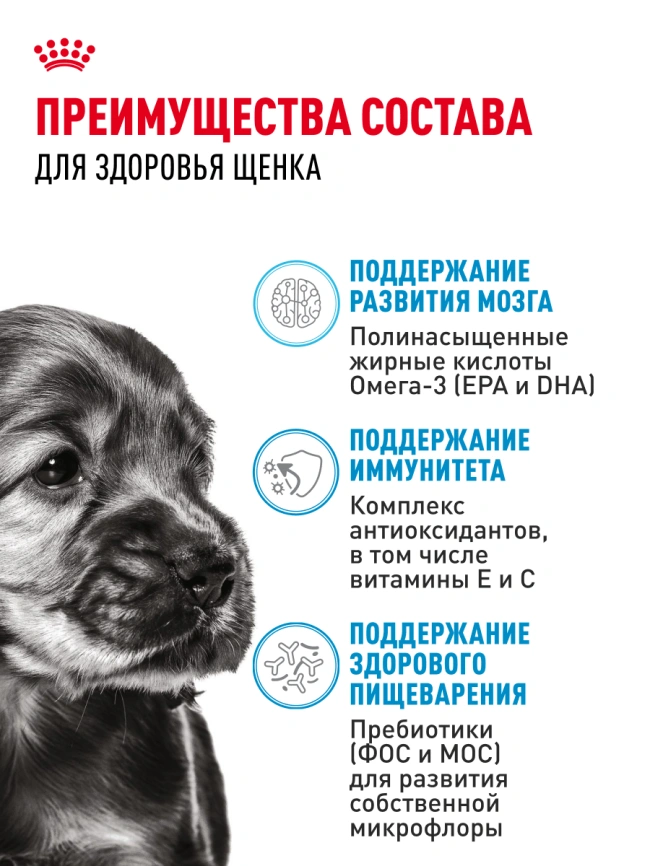 Сухой корм Royal Canin Mini Puppy для щенков, 800 г фото 21