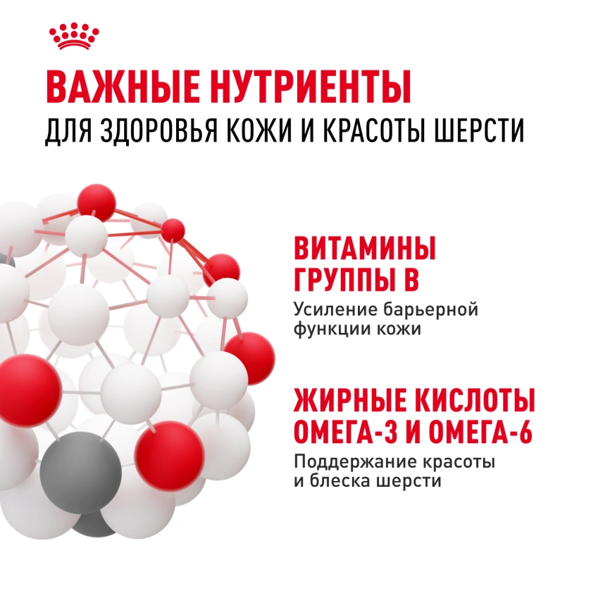 Сухой корм Royal Canin Mini Dermacomfort для собак, 1 кг фото 5