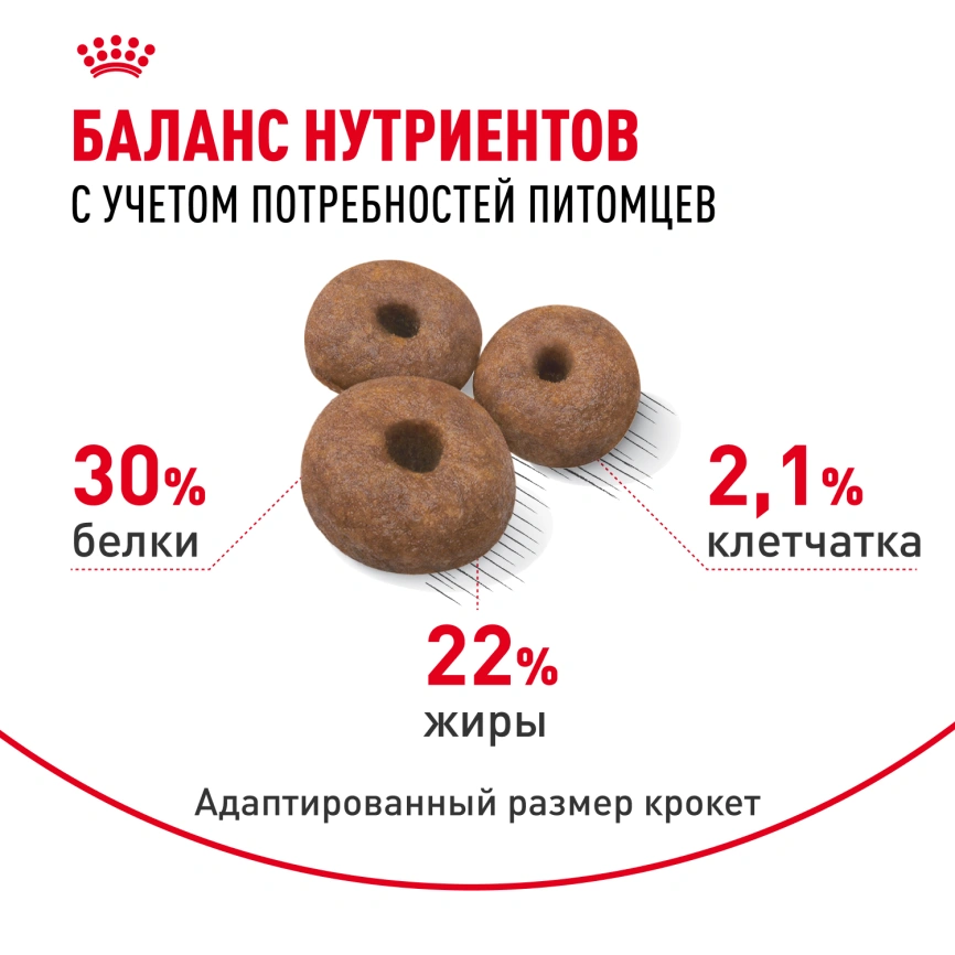 Сухой корм Royal Canin Giant Starter Mother &amp; Babydog для щенков и собак, 4 кг фото 4