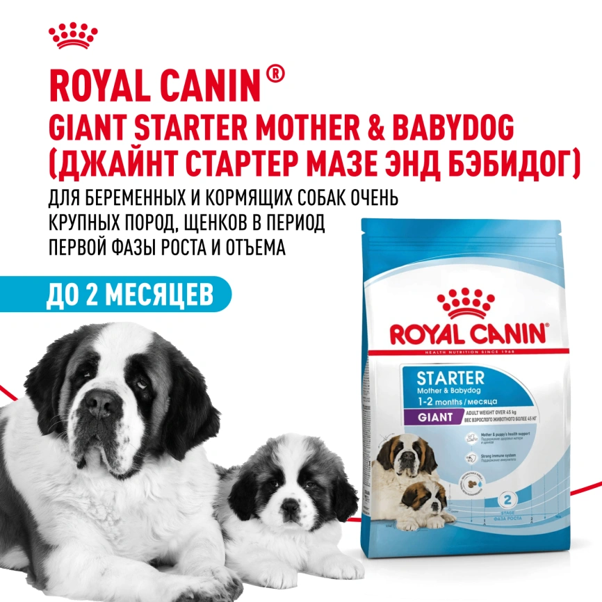 Сухой корм Royal Canin Giant Starter Mother &amp; Babydog для щенков и собак, 4 кг фото 12